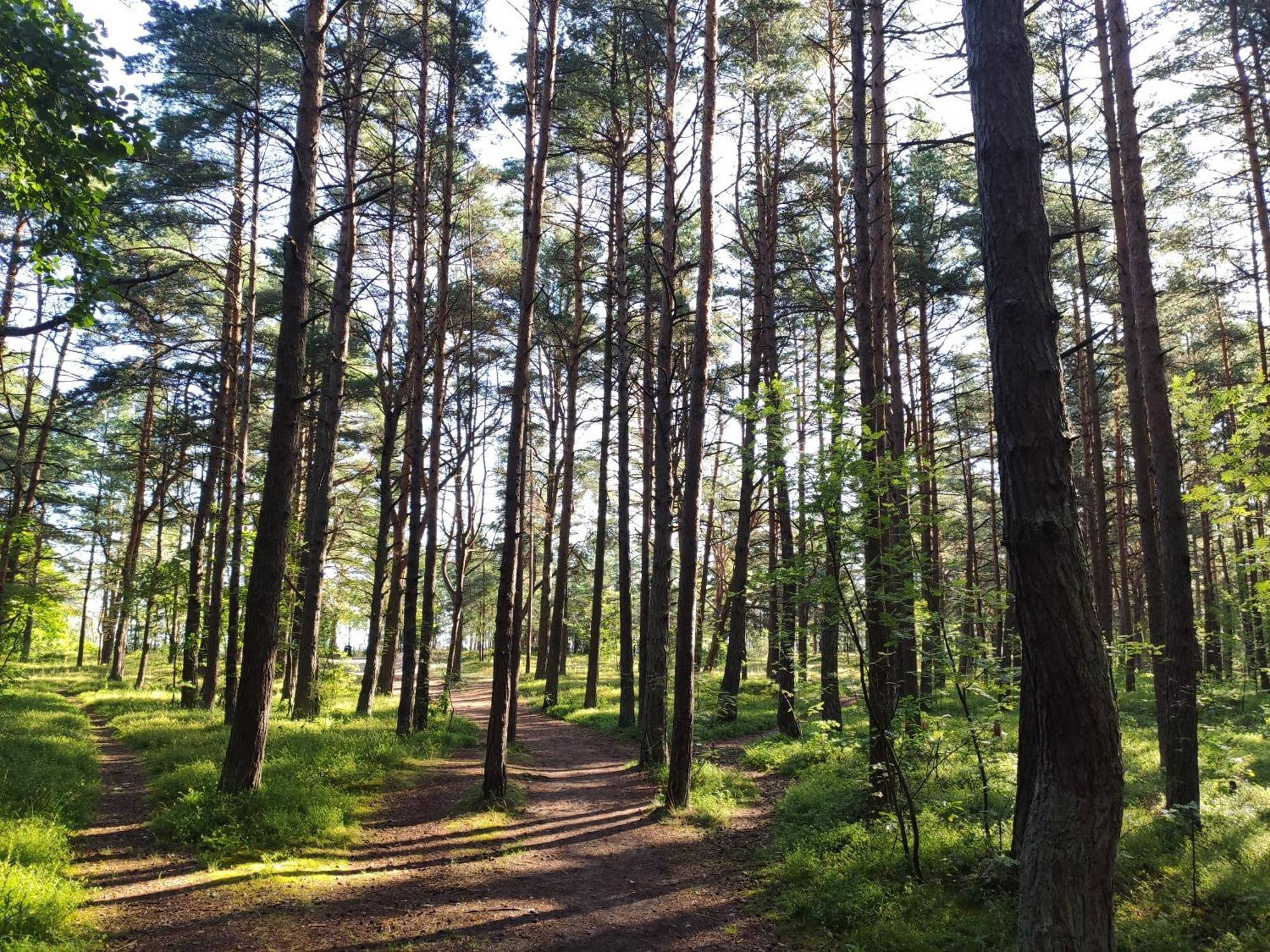 Flip-Flops Apartment Jurmala With Free Parking Kültér fotó